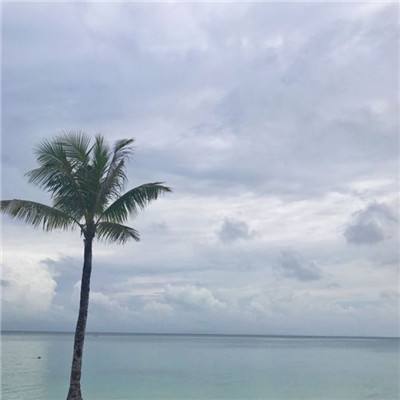 双人大闯关官方版下载